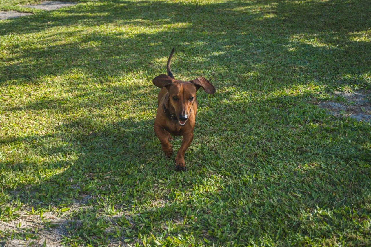 Casa Vista Para Montanha Pet Friendly Caraguatatuba Εξωτερικό φωτογραφία